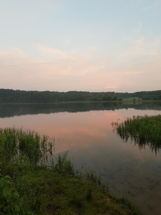 Фермерские дома Leśny zakątek - Agroturystyka Zbychowo-22