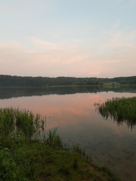 Фермерские дома Leśny zakątek - Agroturystyka Zbychowo-59